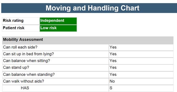 eVitals Moving and Handling Chart